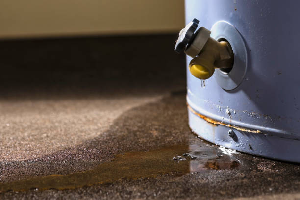  Lewisburg, WV Water damage restoration Pros