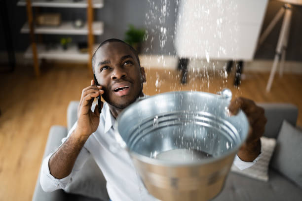Best Carpet water damage restoration  in Lewisburg, WV