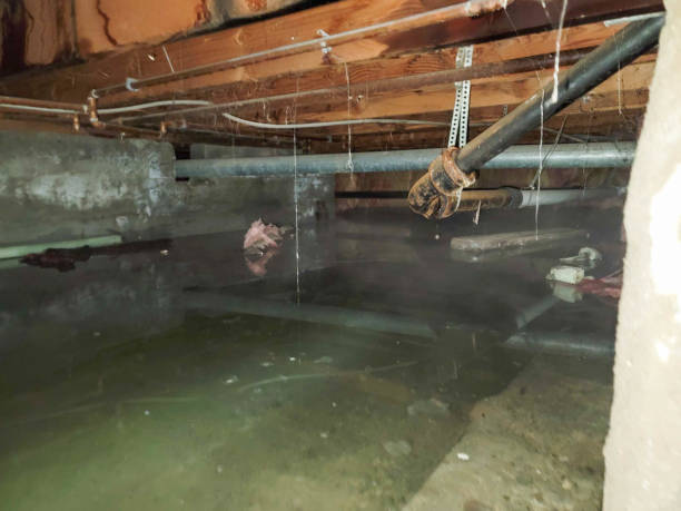 Best Commercial water damage restoration  in Lewisburg, WV