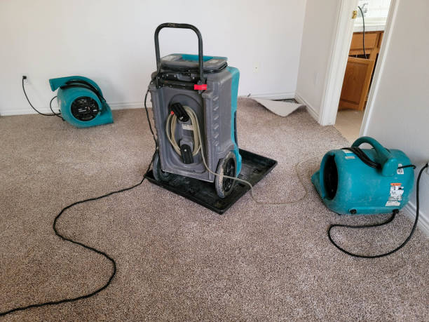 Best Water damage restoration services  in Lewisburg, WV
