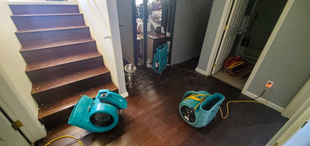Best Flood restoration services  in Lewisburg, WV
