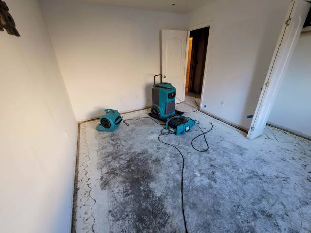 Best Flood damage cleanup  in Lewisburg, WV