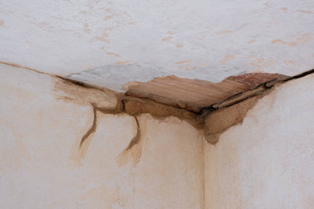 Best Water damage mitigation services  in Lewisburg, WV