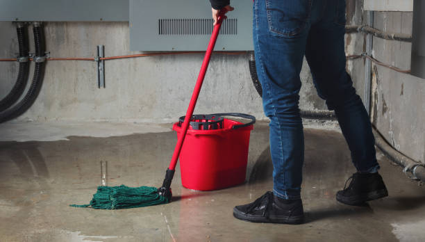 Best 24/7 water damage repair  in Lewisburg, WV