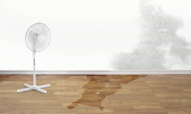 Best Water damage restoration near me  in Lewisburg, WV