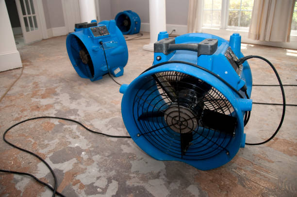 Trusted Lewisburg, WV Water damage restoration Experts