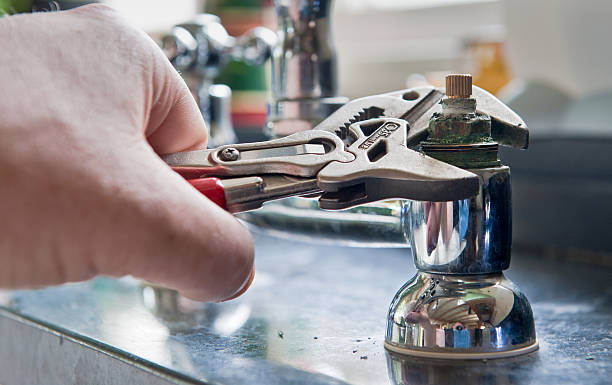 Best Professional water damage repair  in Lewisburg, WV