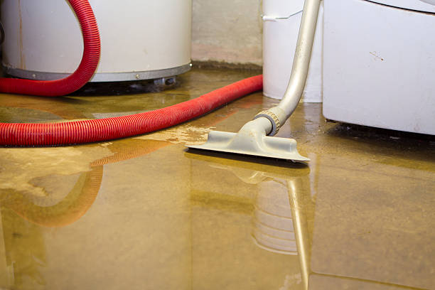 Best Sewage cleanup and water damage restoration  in Lewisburg, WV