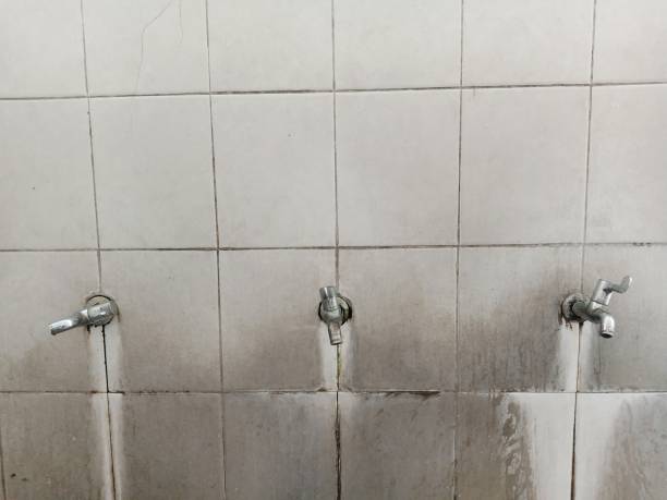 Best Water damage restoration near me  in Lewisburg, WV