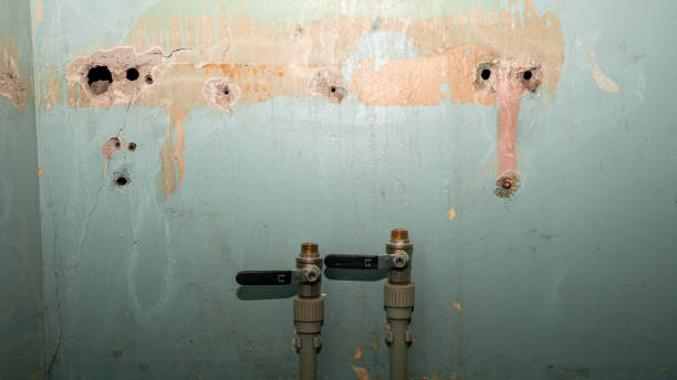 Best Commercial water damage restoration  in Lewisburg, WV