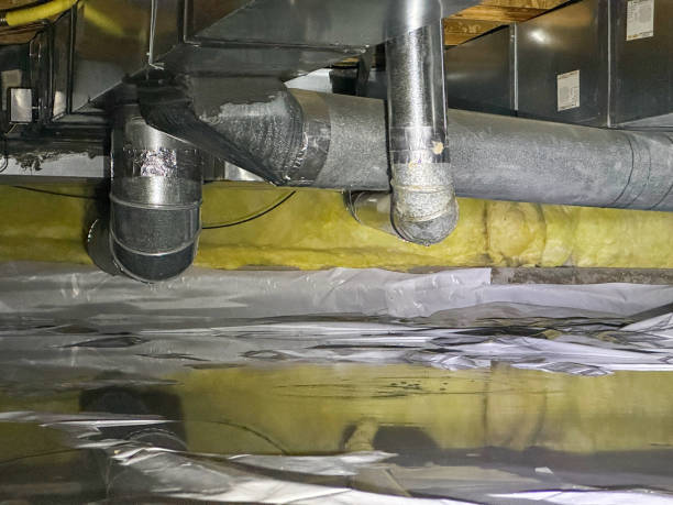 Best Local water damage restoration  in Lewisburg, WV