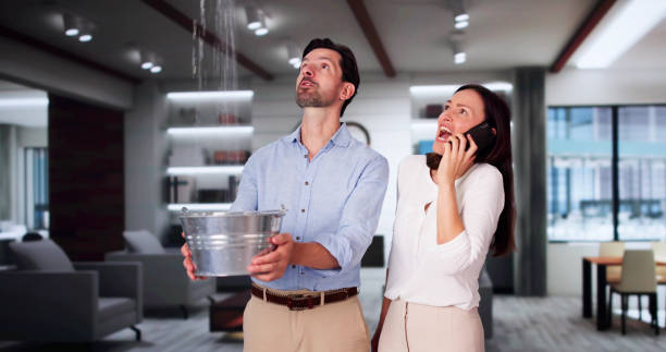 Best Flood damage cleanup  in Lewisburg, WV