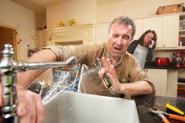 Best Mold removal after water damage  in Lewisburg, WV